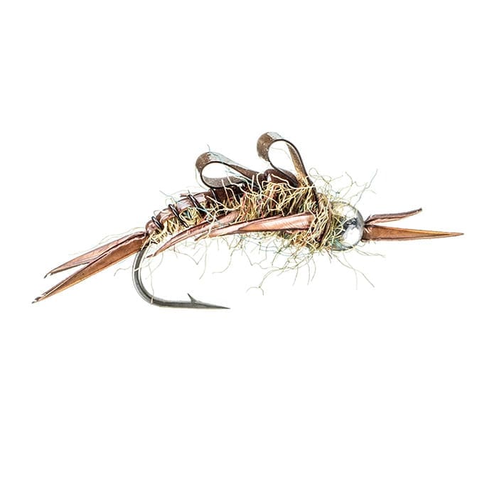 Holcomb's BH Golden Stone