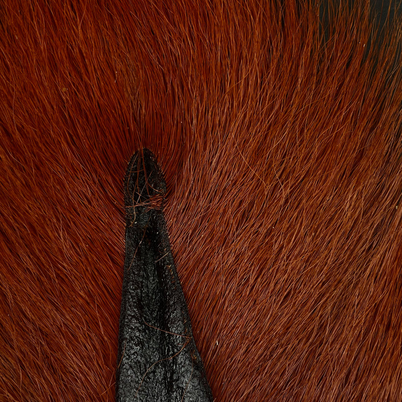Bucktail - #1