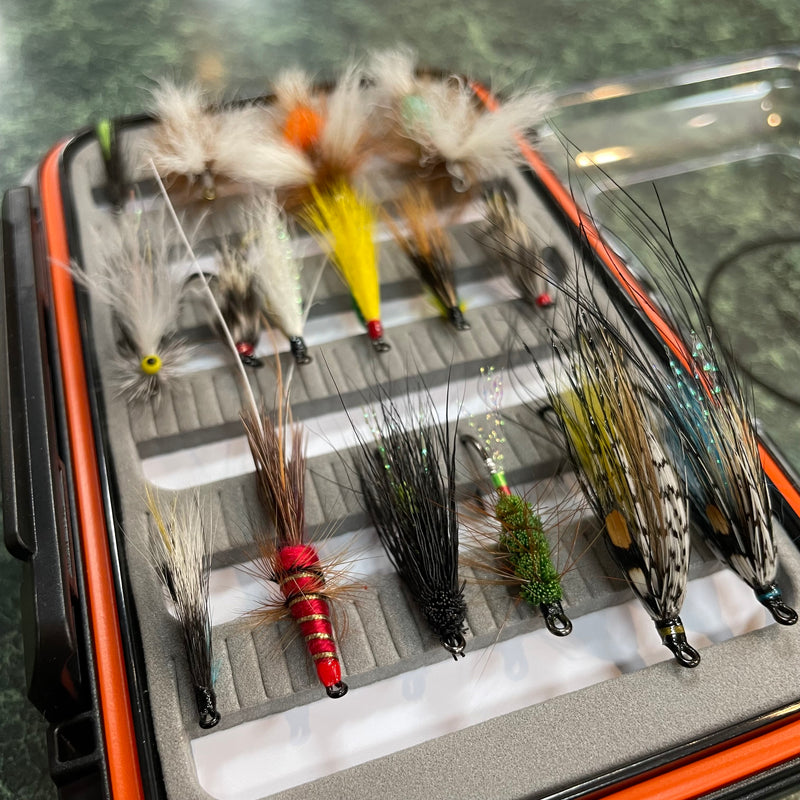 Salmon Flies - Flies/Box Combo