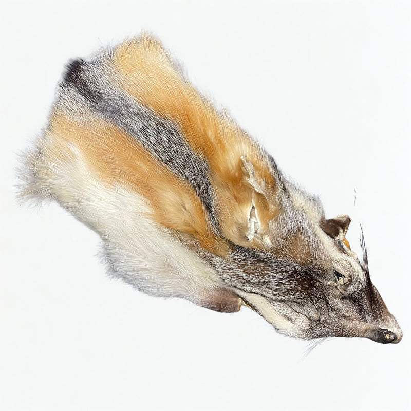 Grey Fox Mask