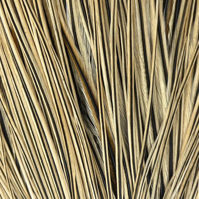 Whiting Dry Fly Hackle - Bronze Grade