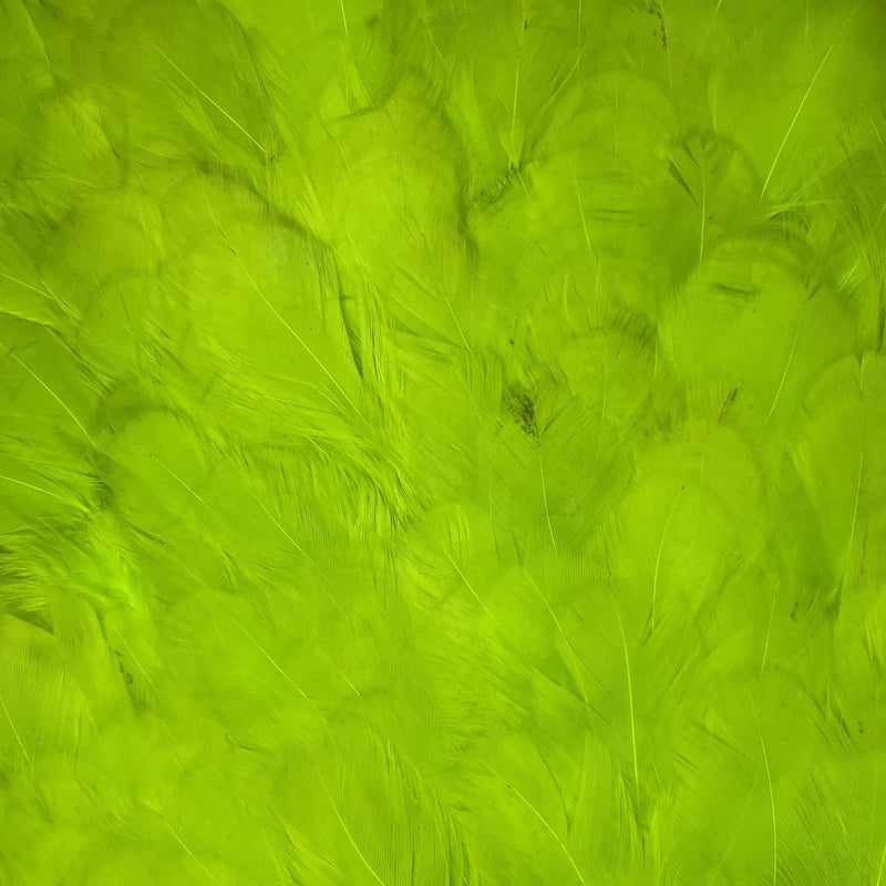 Whiting 4B - Selle de poule