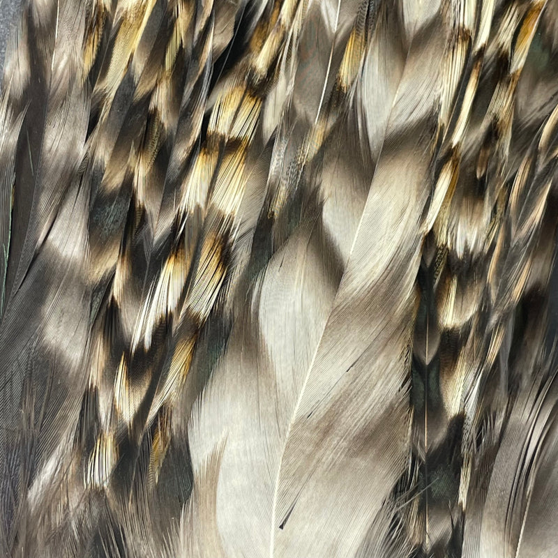 Strung Hackle Grizzly 5'' to 8''