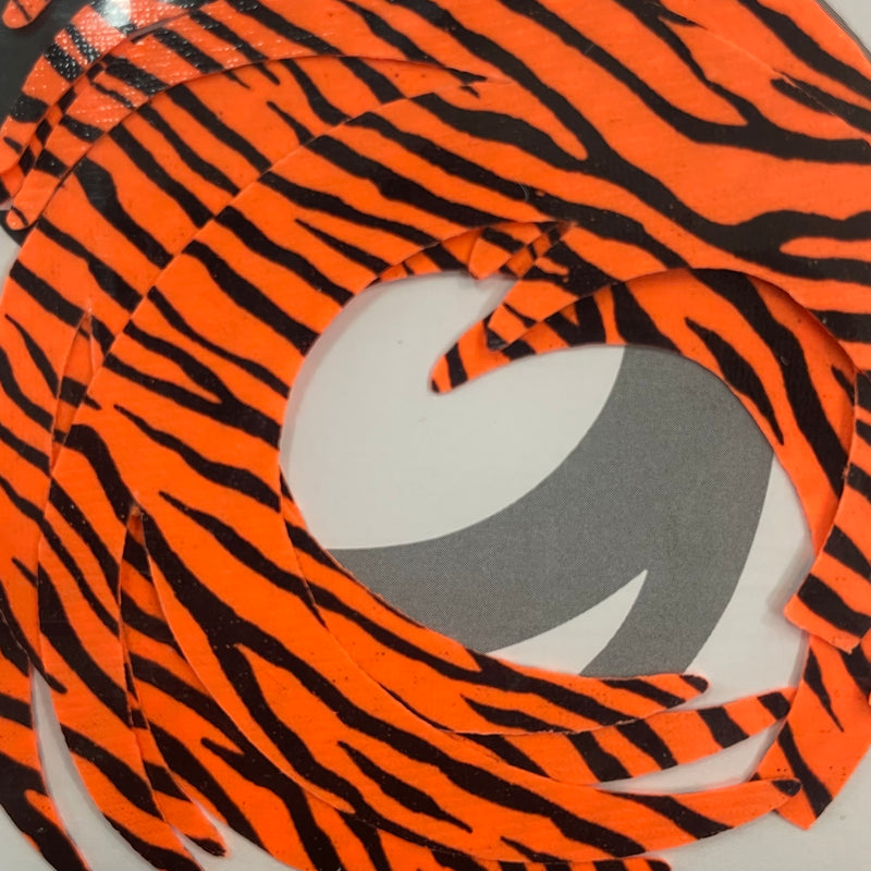 Pacchiarini's Dragon Tail (Barred) - XL