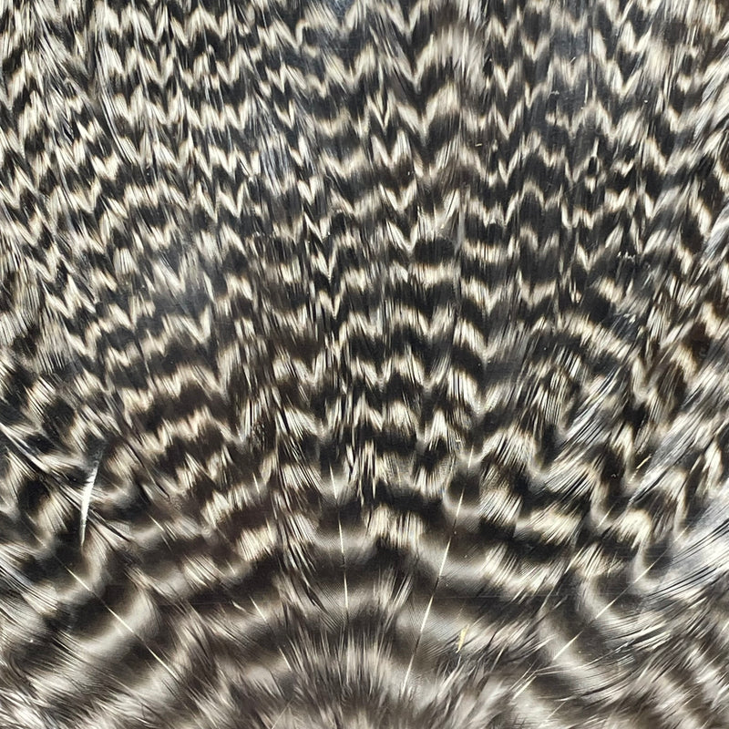 Ewing - Bomber Rooster Saddle