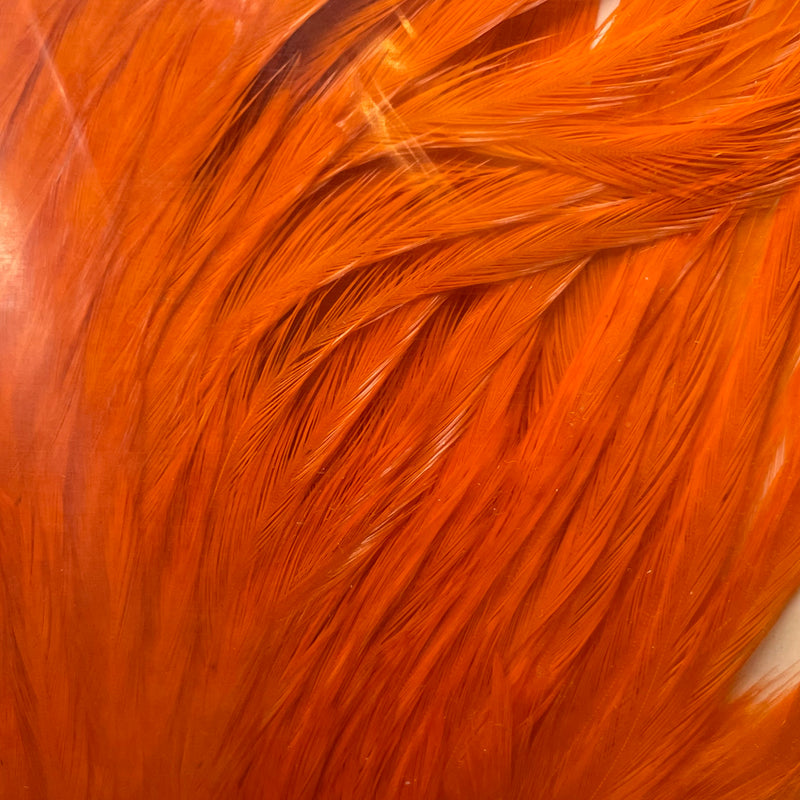 Ewing - Bomber Rooster Saddle