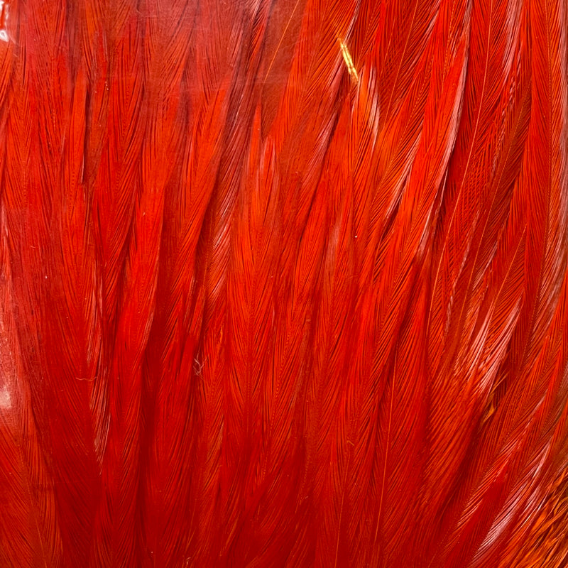 Ewing - Bomber Rooster Saddle