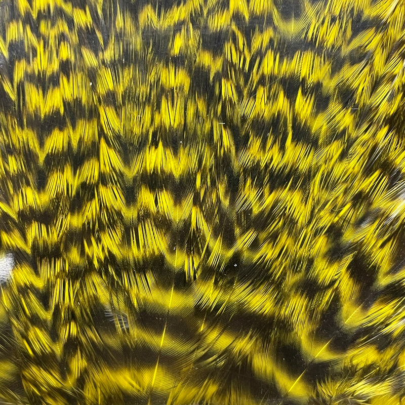 Ewing - Bomber Rooster Saddle