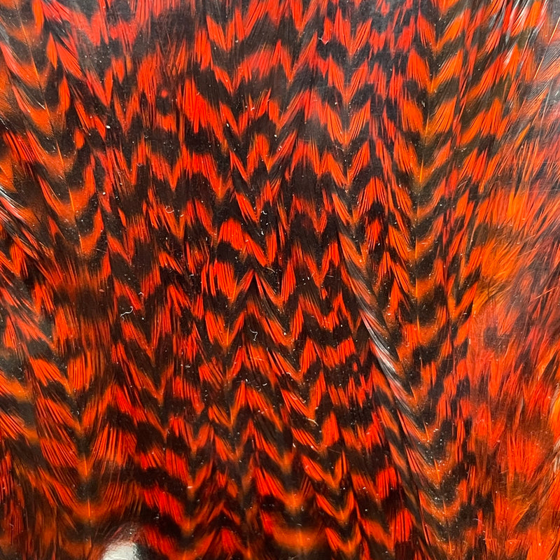 Ewing - Bomber Rooster Saddle