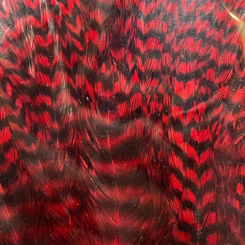 Ewing - Bomber Rooster Saddle