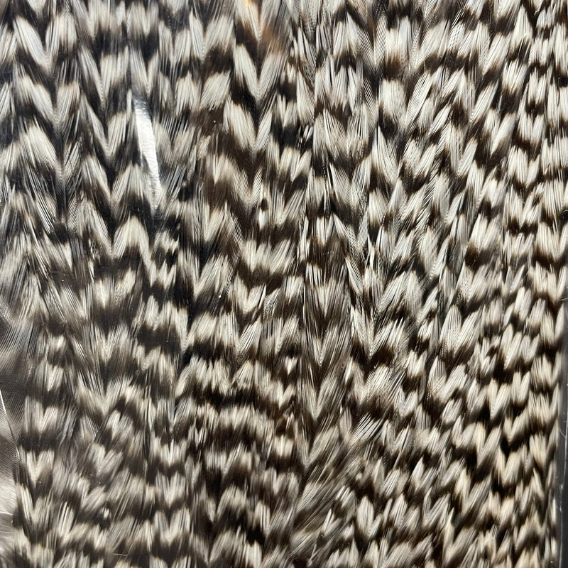 Ewing - Pro Rooster Saddle