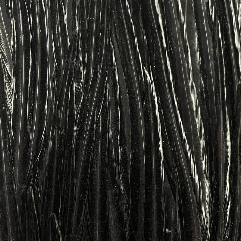 Ewing - Pro Rooster Saddle