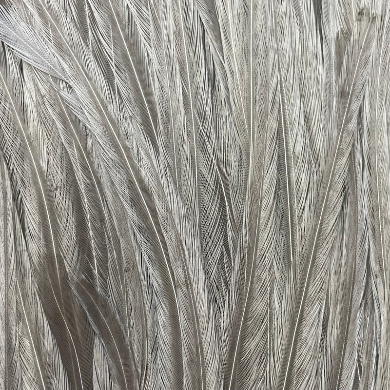 Ewing - Pro Rooster Saddle