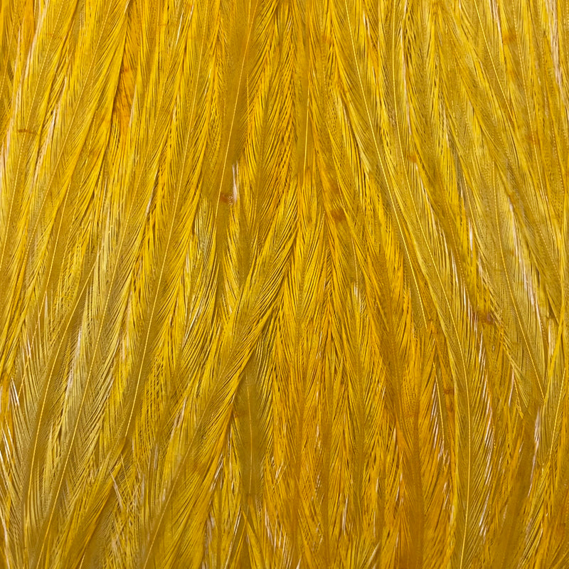 Ewing - Pro Rooster Saddle