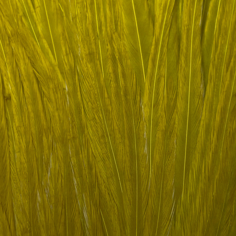 Ewing - Pro Rooster Saddle