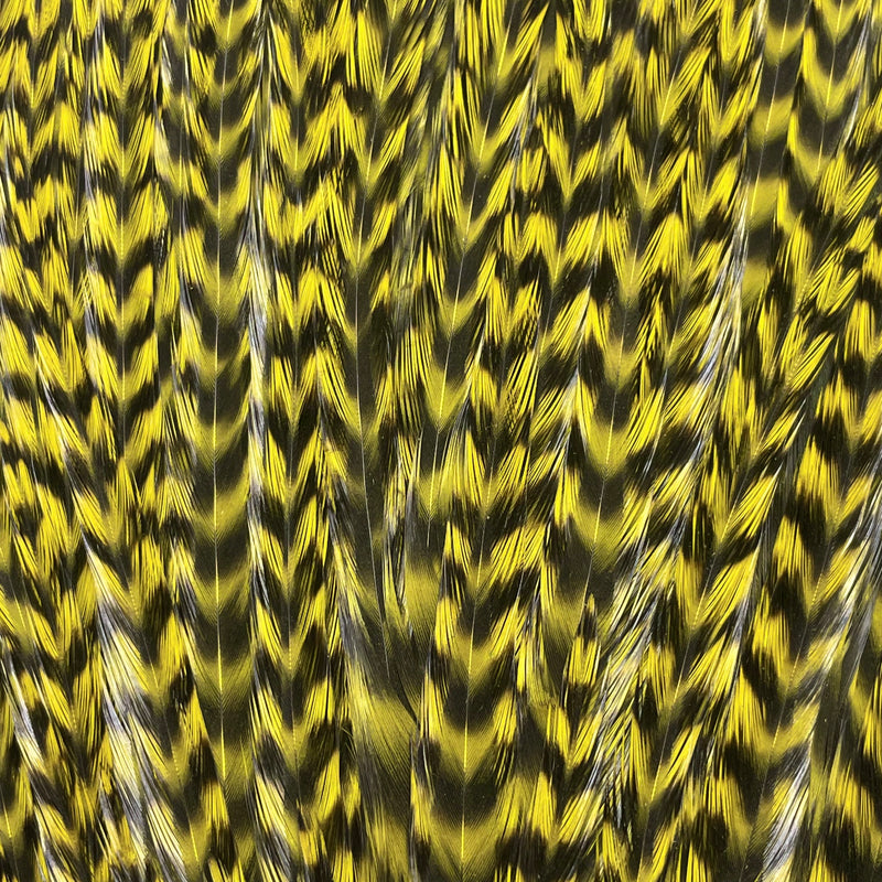 Ewing - Pro Rooster Saddle