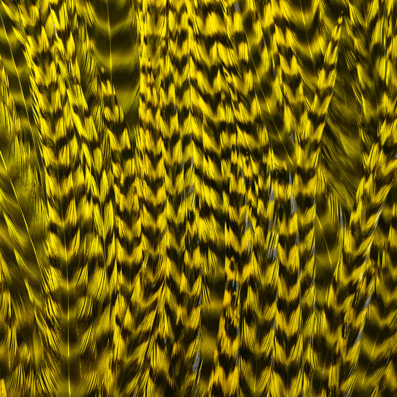 Ewing - Pro Rooster Saddle