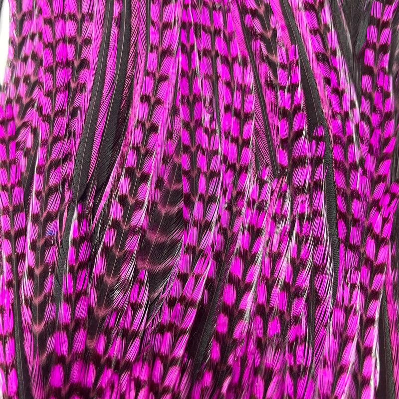 Ewing - Pro Rooster Saddle