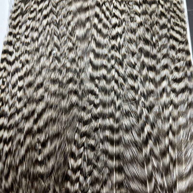 Ewing - Deceiver Patch