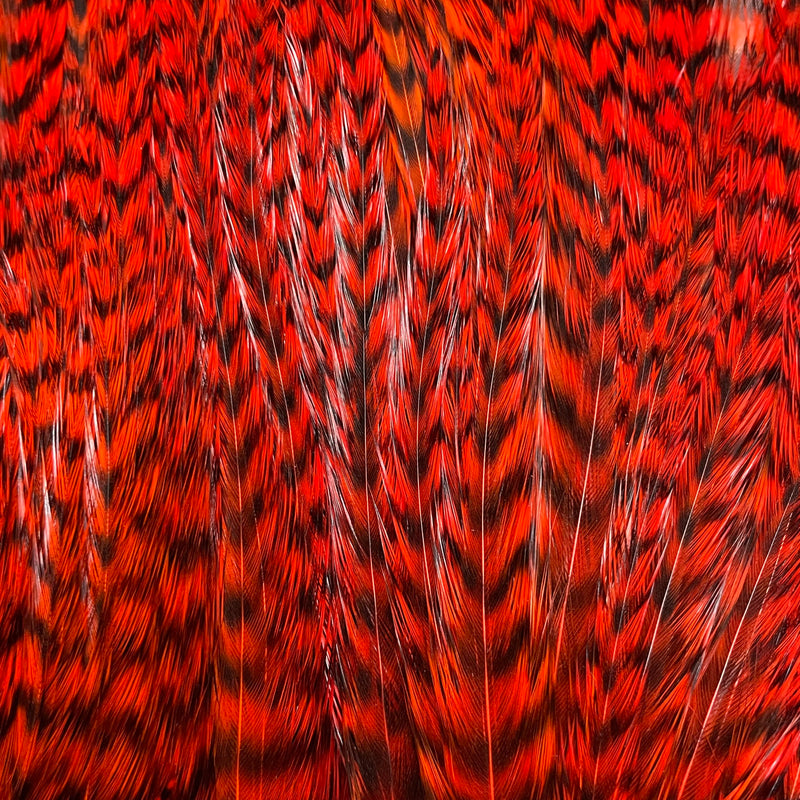 Ewing - Deceiver Patch