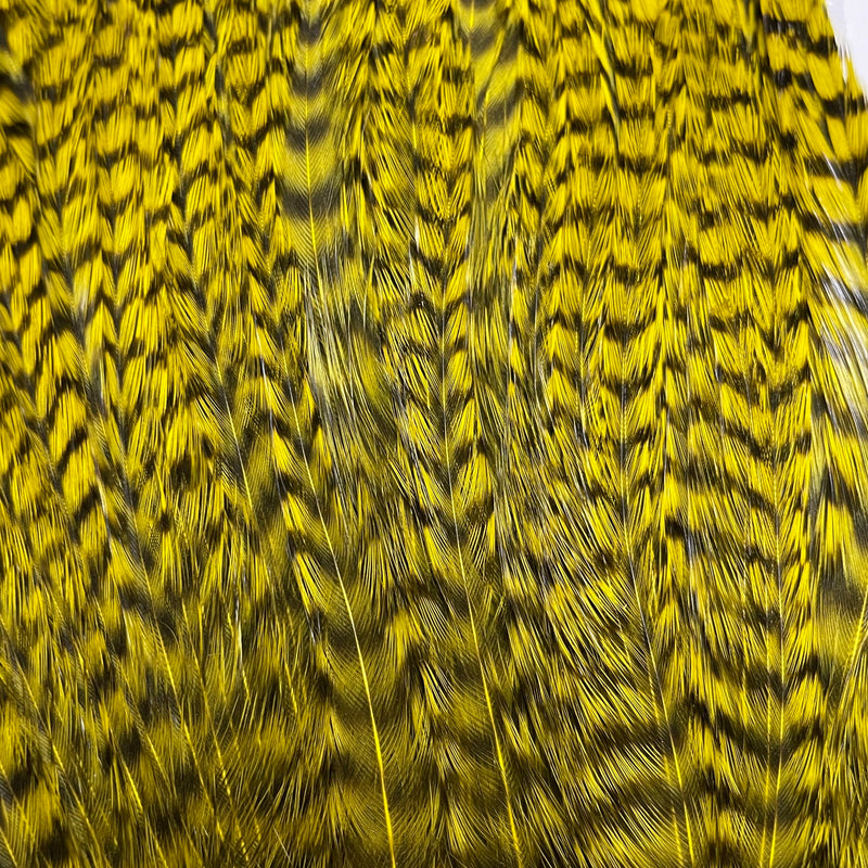 Ewing - Deceiver Patch