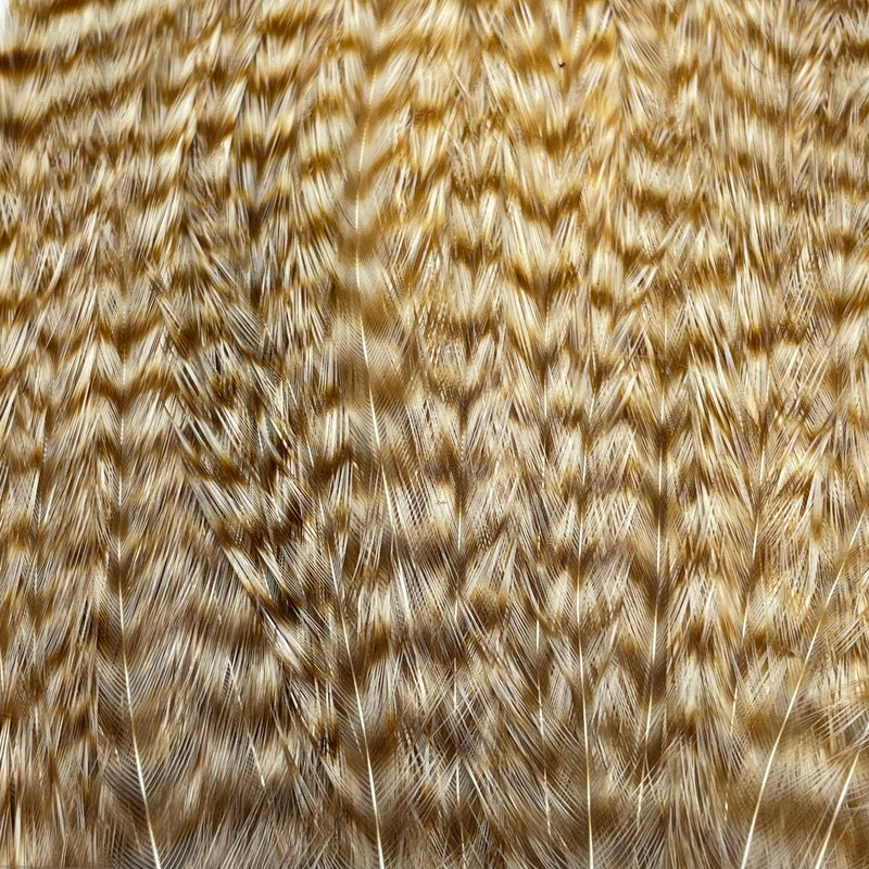 Ewing - Deceiver Patch