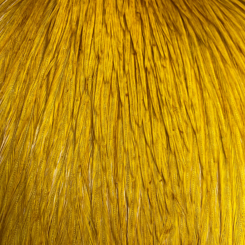 Ewing - Rooster Cape