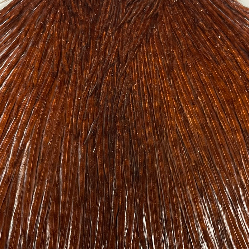 Ewing - Rooster Cape