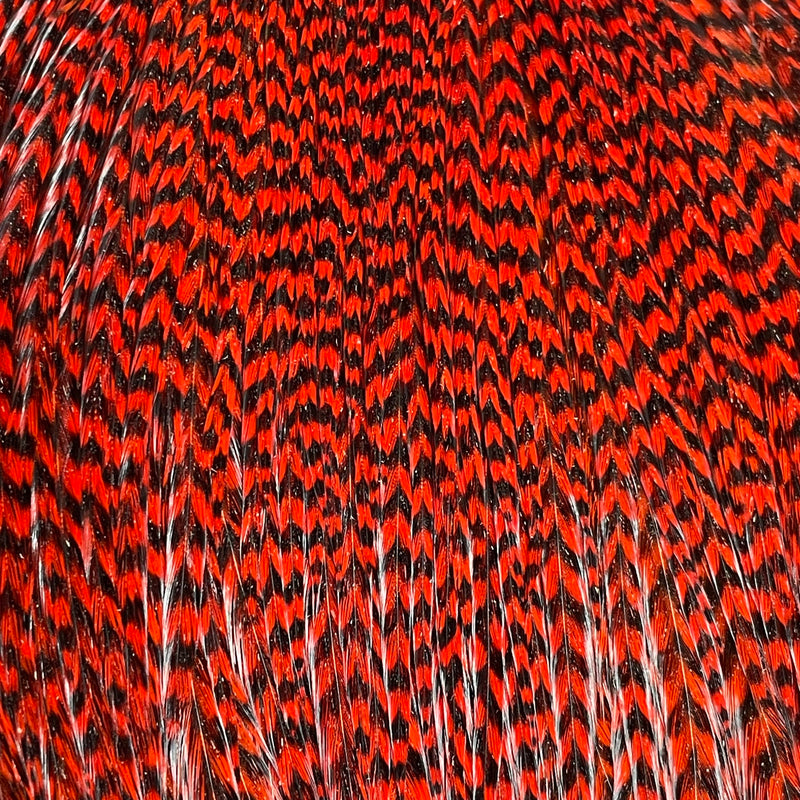 Ewing - Rooster Cape