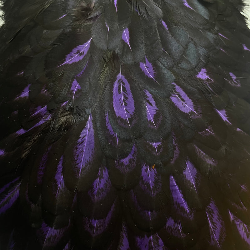 Whiting American Laced - Hen Saddle