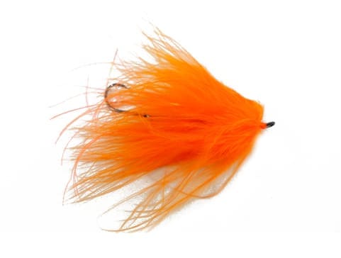 Intruder Salmon Leech