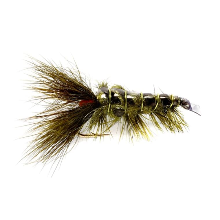 Jan's Trout Crayfish