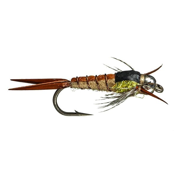 Kyle's BH Jaune Sally