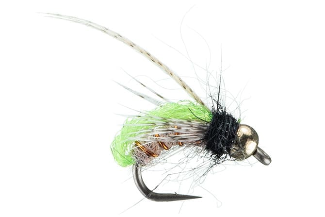 Bh Kyle's Lime Pupa