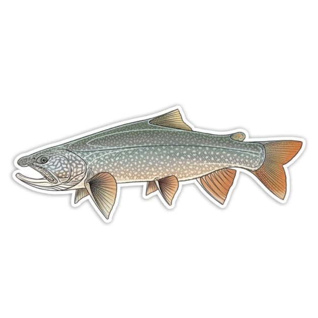 Lake Trout Sticker