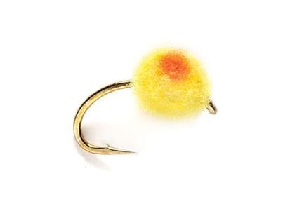 Lynch's Double Dot Egg