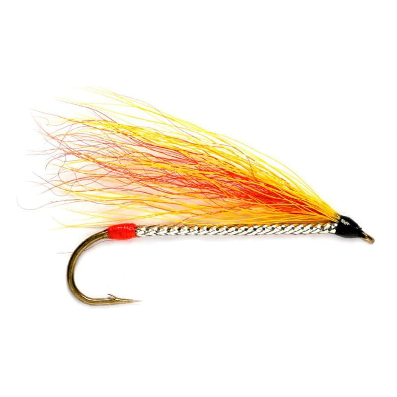 Mickey Finn - Truite