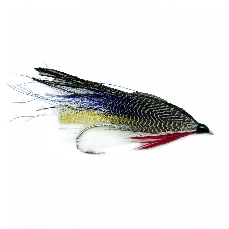 Magog Smelt - Lac