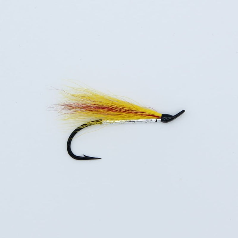 Mickey Finn - Salmon