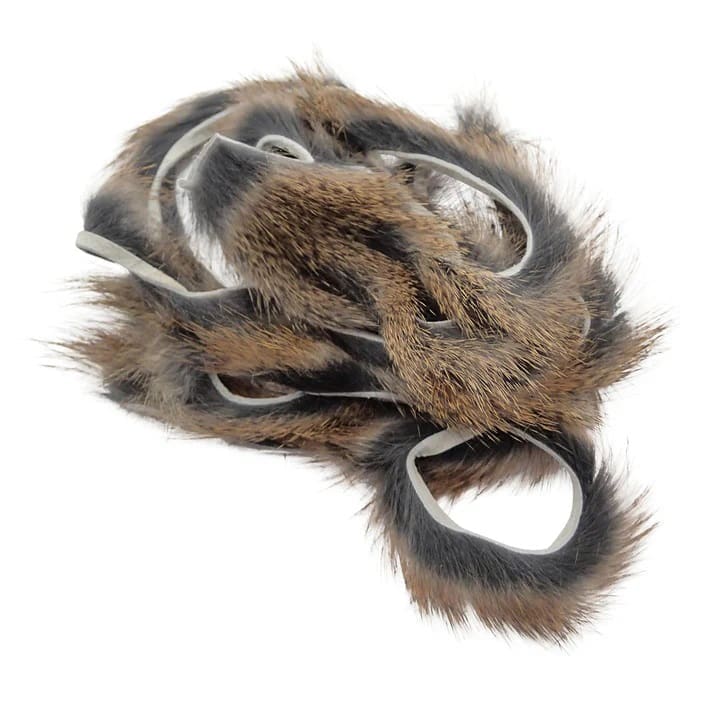 Pine Squirrel - Zonker