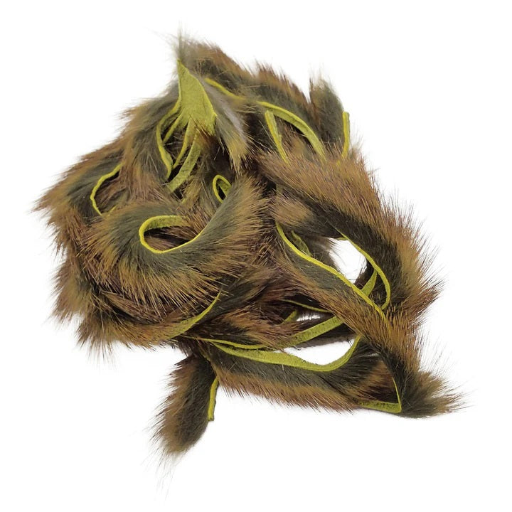 Pine Squirrel - Zonker