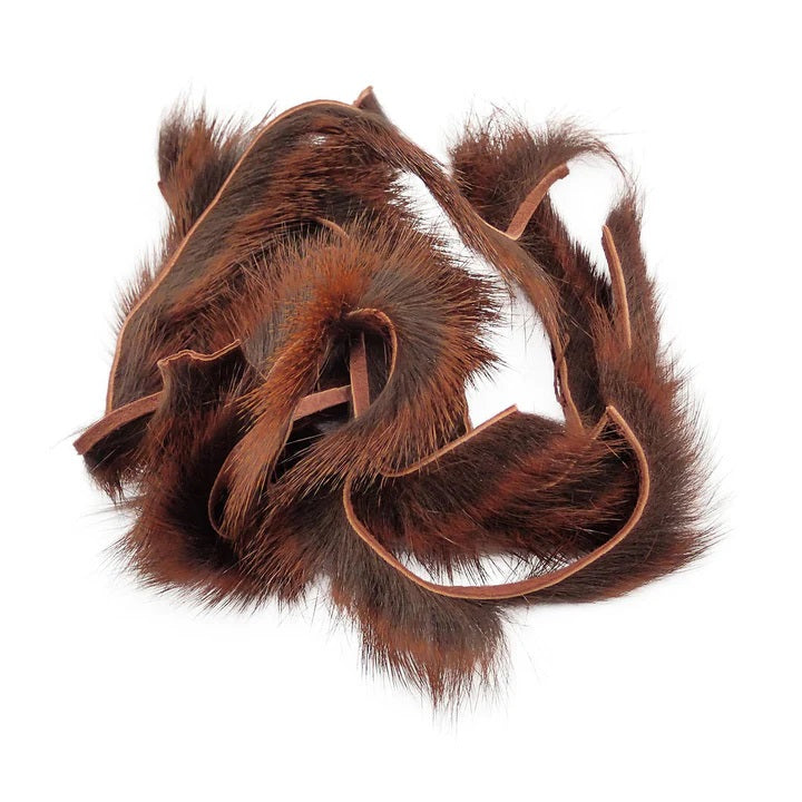 Pine Squirrel - Zonker