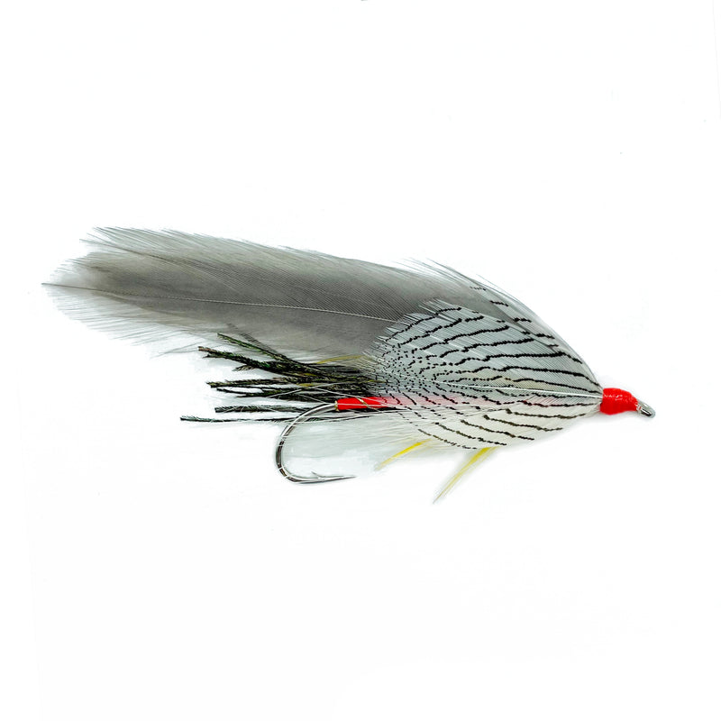 Orange Grey Ghost - Lake