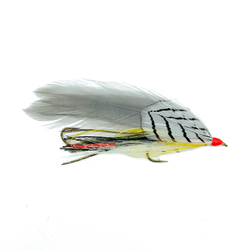 Orange Grey Ghost - Lake