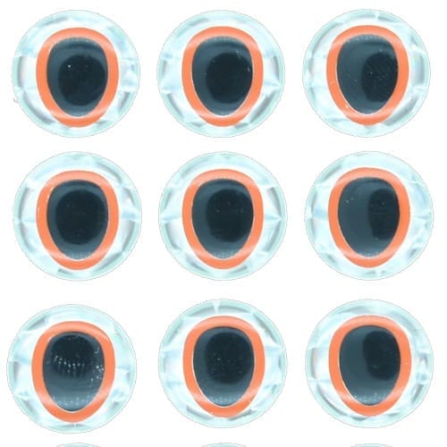 Oblong Eye - Double Pupil