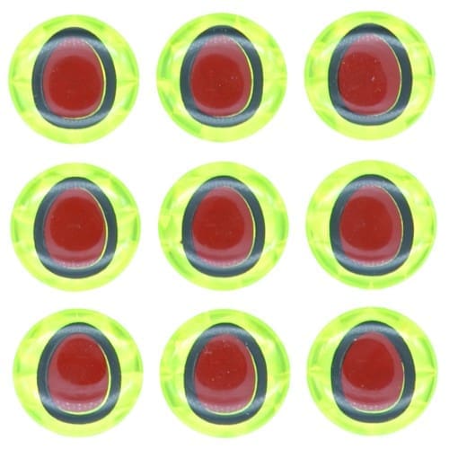 Oblong Eye - Double Pupil