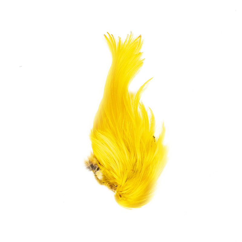 Golden Pheasant - Crest