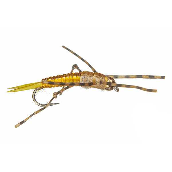 Pennington's Improved Rib Golden Stone