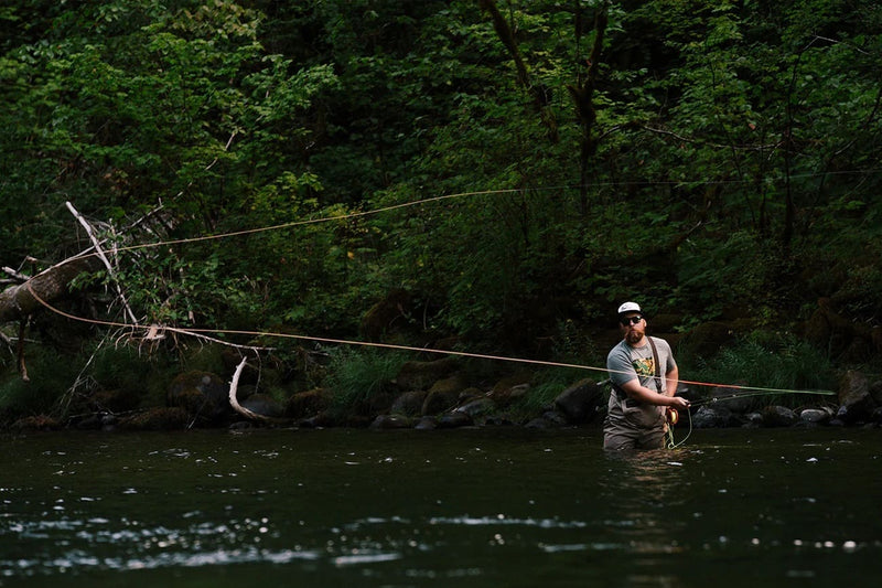 Dually Switch Fly Rod