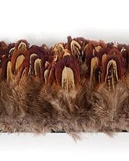 Faisan à collier - Plumes enfilées